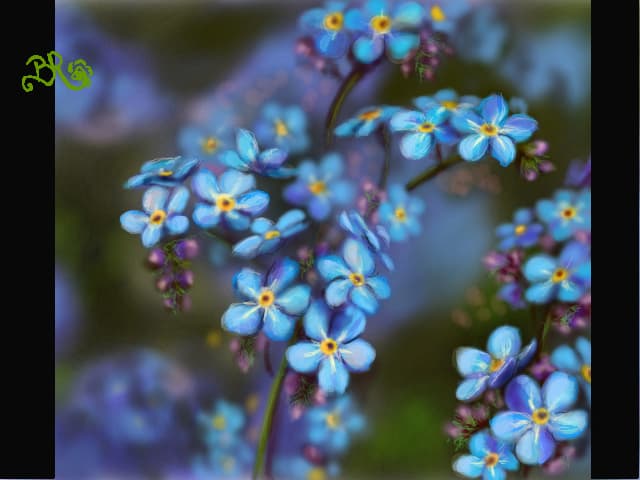 Forget me not