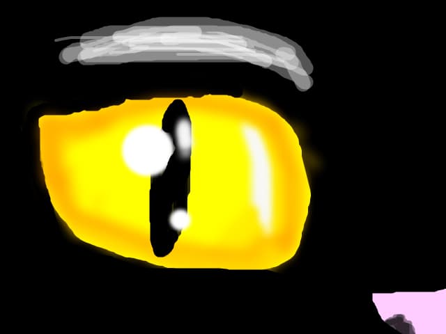 cat eye