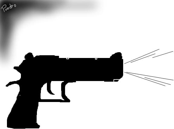 gun