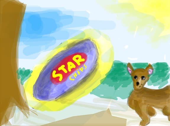 Desen 13214 modificat:frisbee