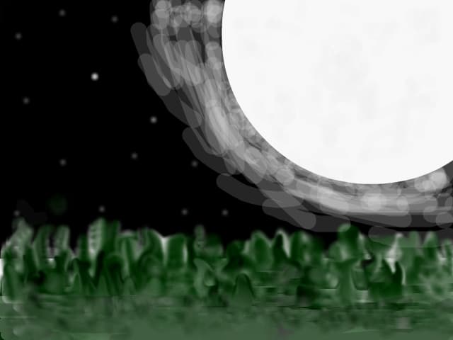 fly with you ... to the moon ...
