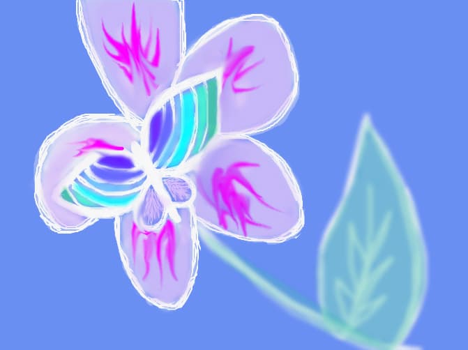 floare si fluture
