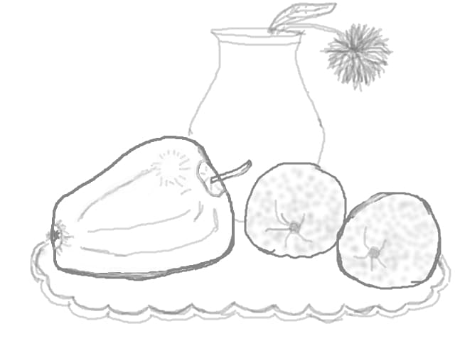 natura statica