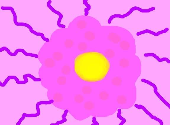 floare