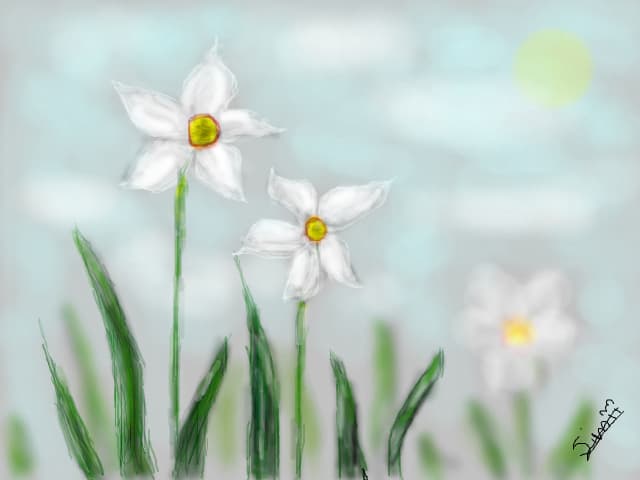Narcise.:x