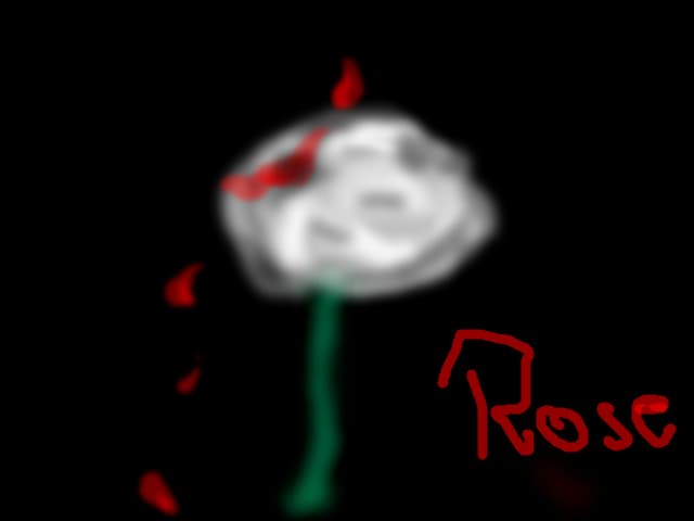 rose