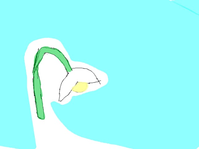 un ghiocel