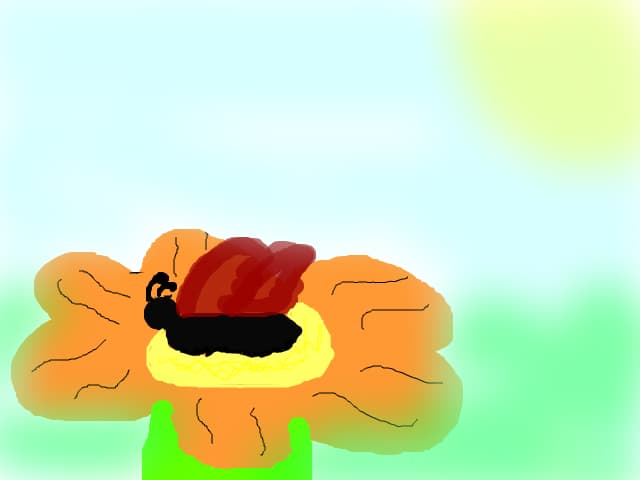 fluture