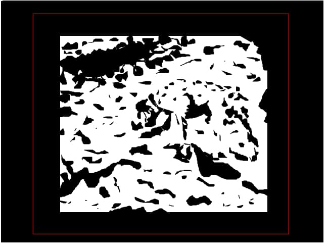 Dalmatian - iluzie