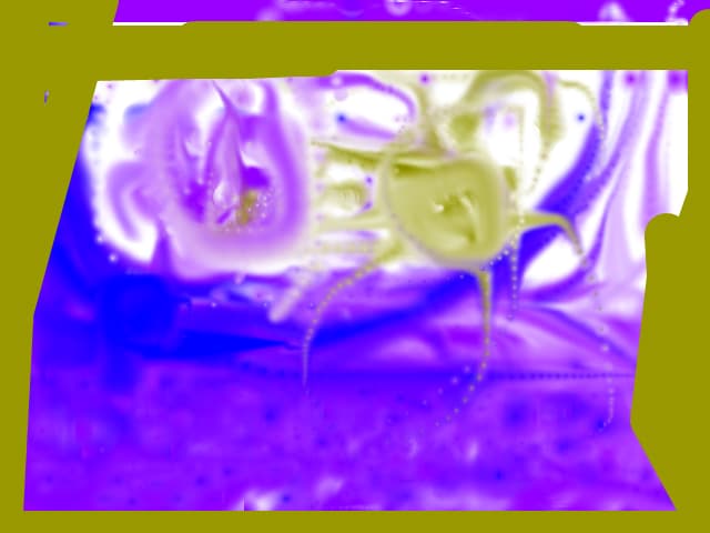 bossu 2010
