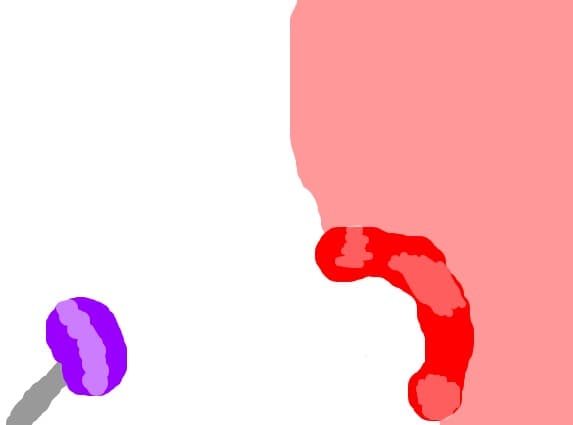 bombonica