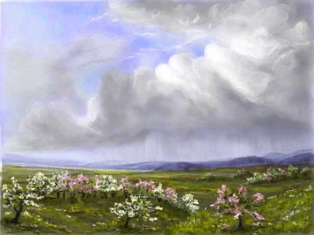 spring shower