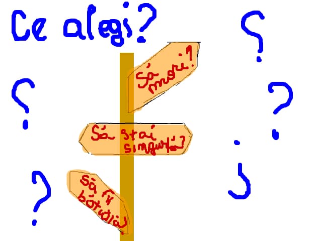 ce ai alege? toate variantele sunt oribile dar...