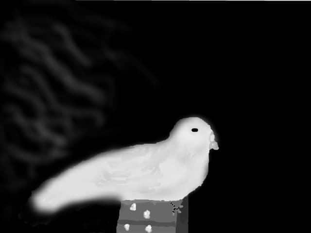 White Pigeon