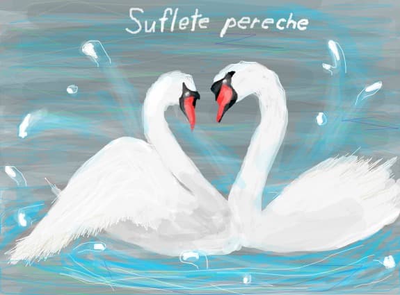 Suflete pereche!