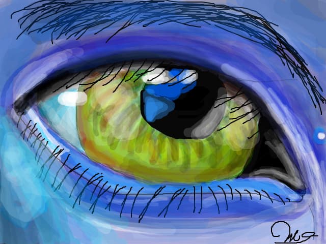 Avatar...cand l`am vazut cred ca am ras o jumatate de ora ;))