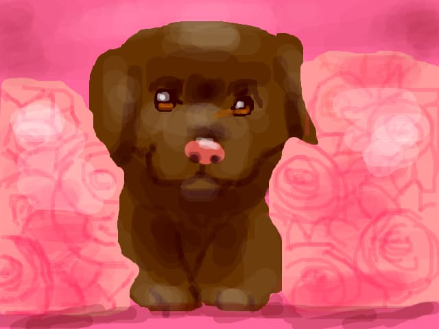 puppy dragut si mic