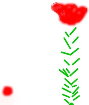 sfdfsd