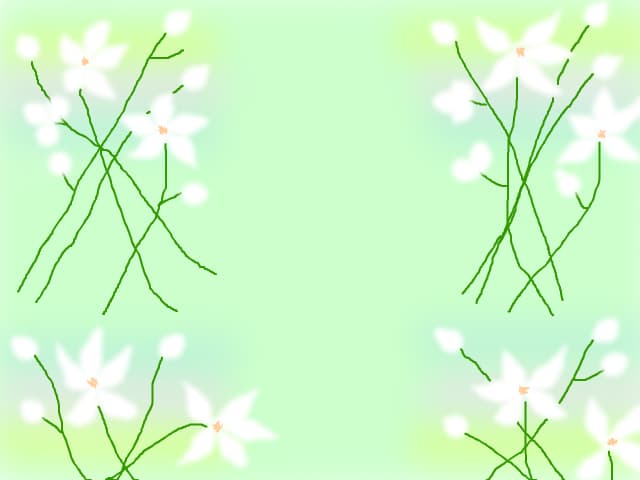 Natura moarta