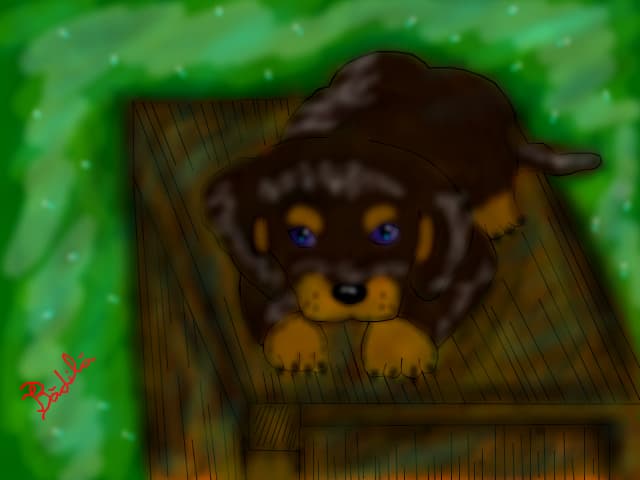Little Doggy