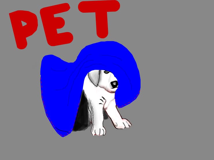 Puppy