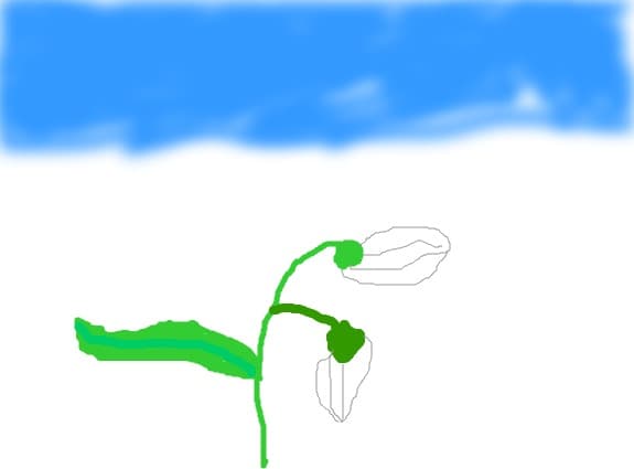 ghiocei
