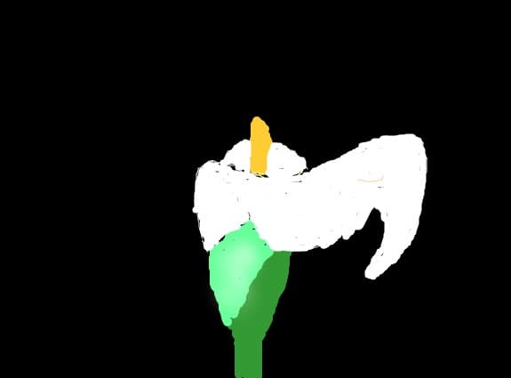 floare