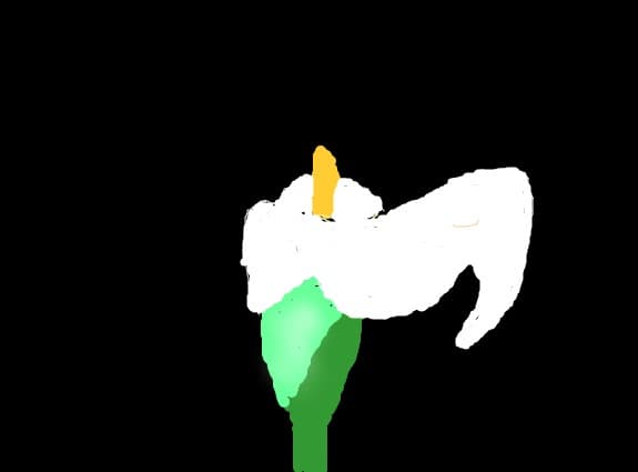 floare