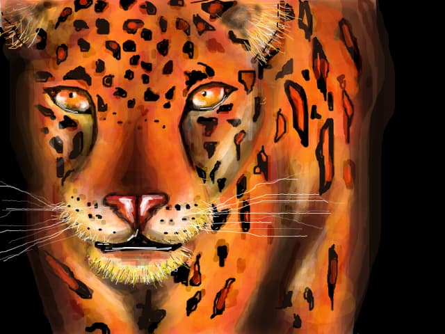 nuj nu seamana cu ghepard asa ca zic ca i leopard