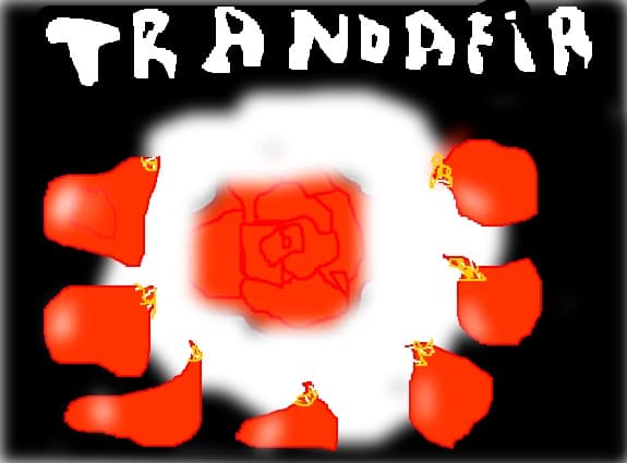 trandafir