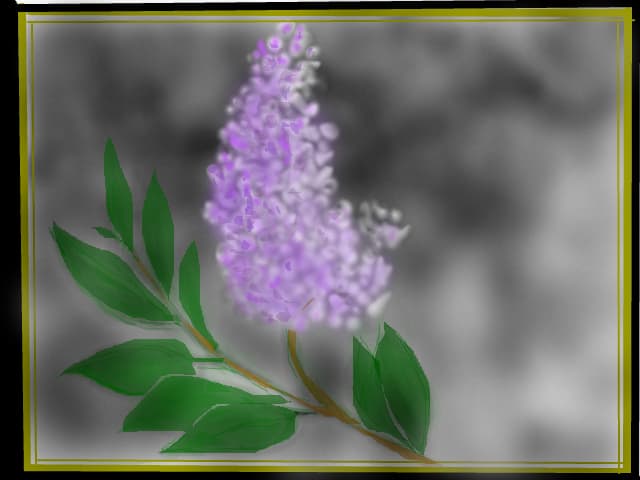 liliac