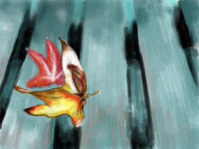 leaves
