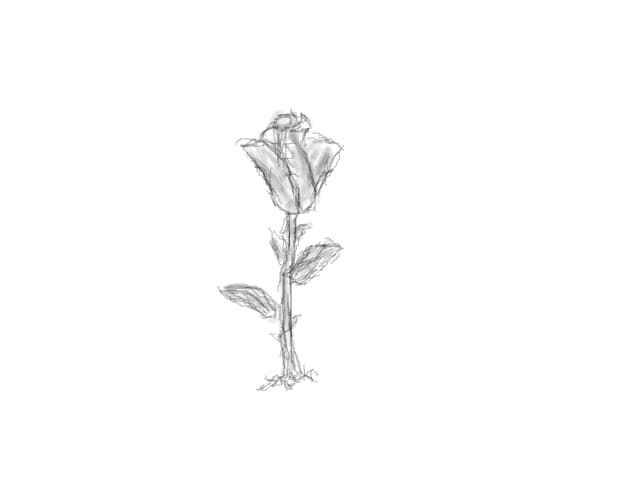 roese