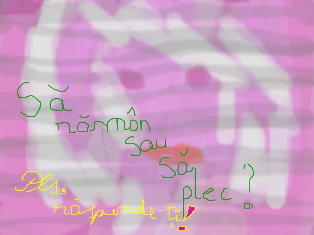 Raman sau plec?