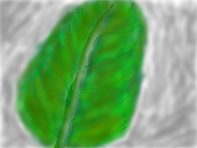 Leaf