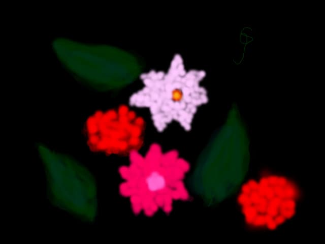 FLORI
