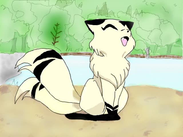 kirara