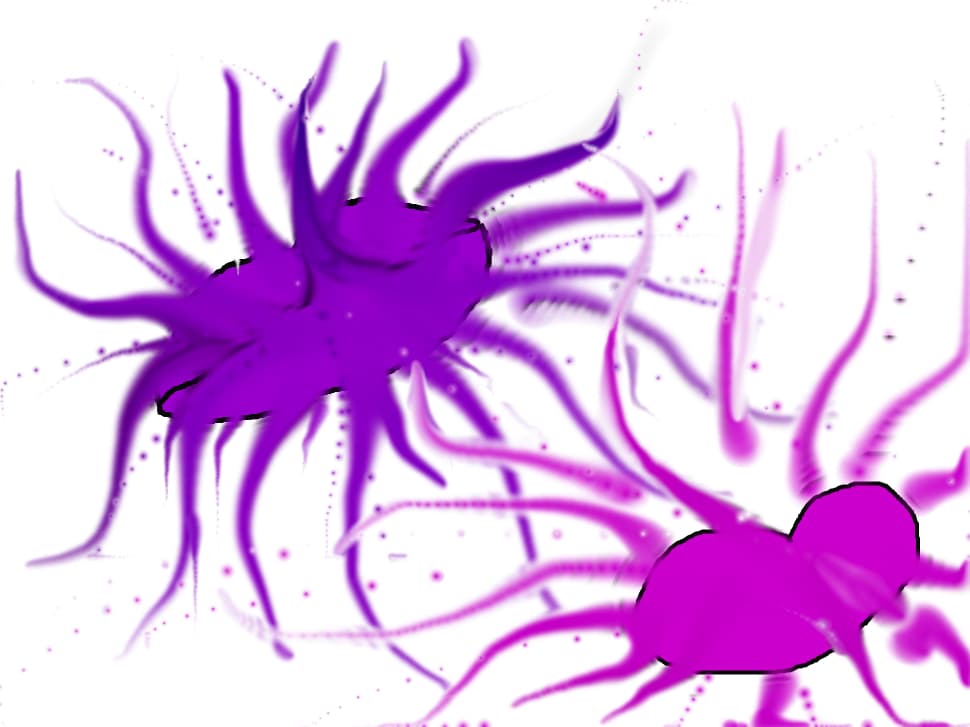 abstract kiss