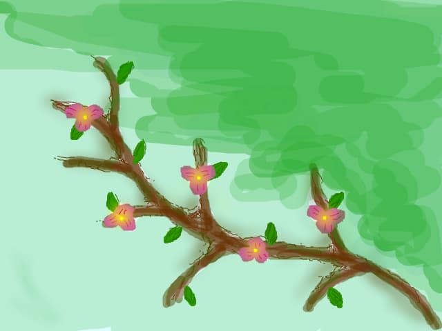 flori
