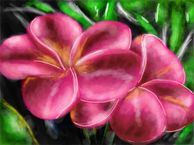 Flori