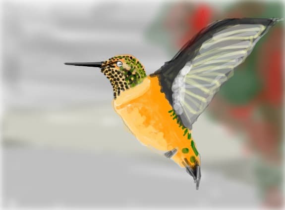 pasarea colibri