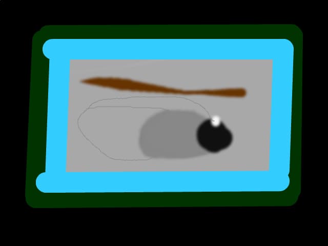 ochi in fotografie