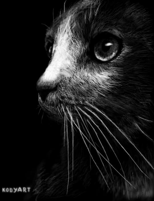 Kitty`s lighting eye