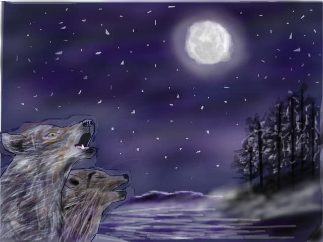 Wolwes at the moon