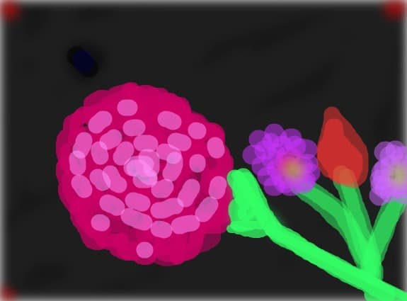 Flori