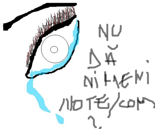ochi