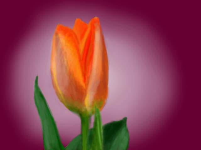 prima incercare de floare