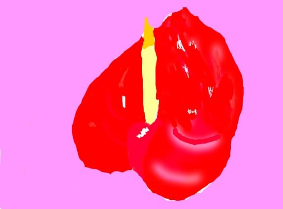 floare