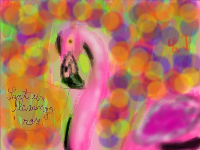 flamingo