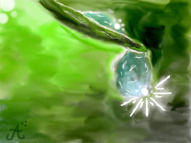 picatura de roua:D